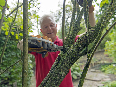Inzameling grof groen en grof huisvuil