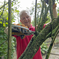 Inzameling grof groen en grof huisvuil