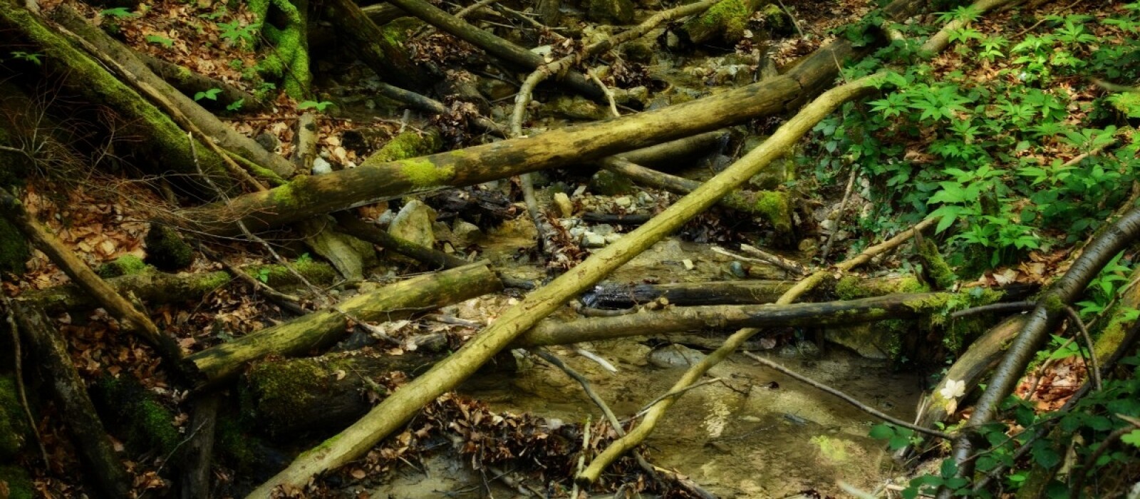 Schade of gevaarlijke situatie door harde wind. Waar meldt u dat?