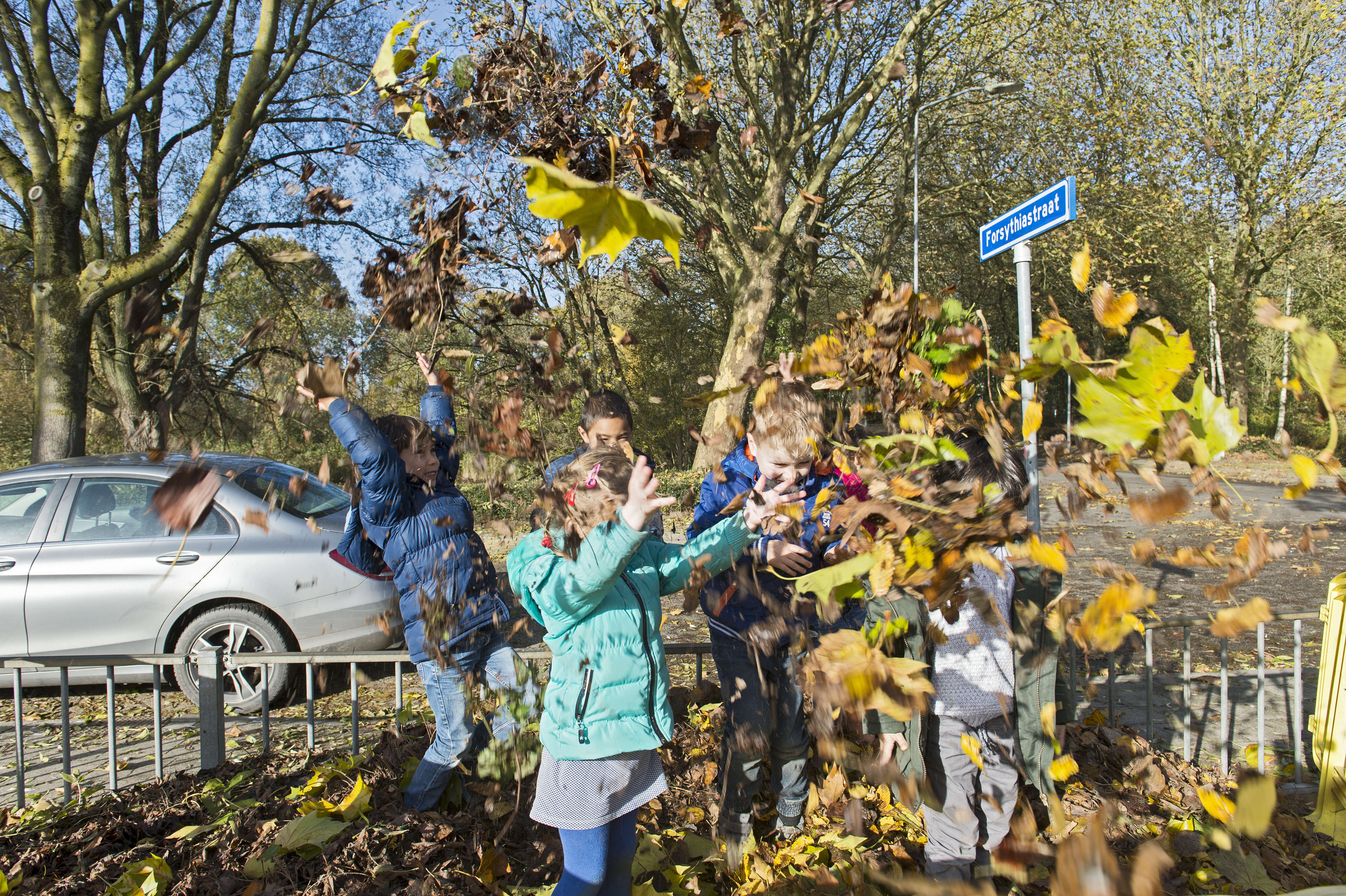 kinderen zamelen blad in