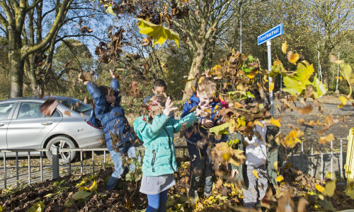 kinderen zamelen blad in