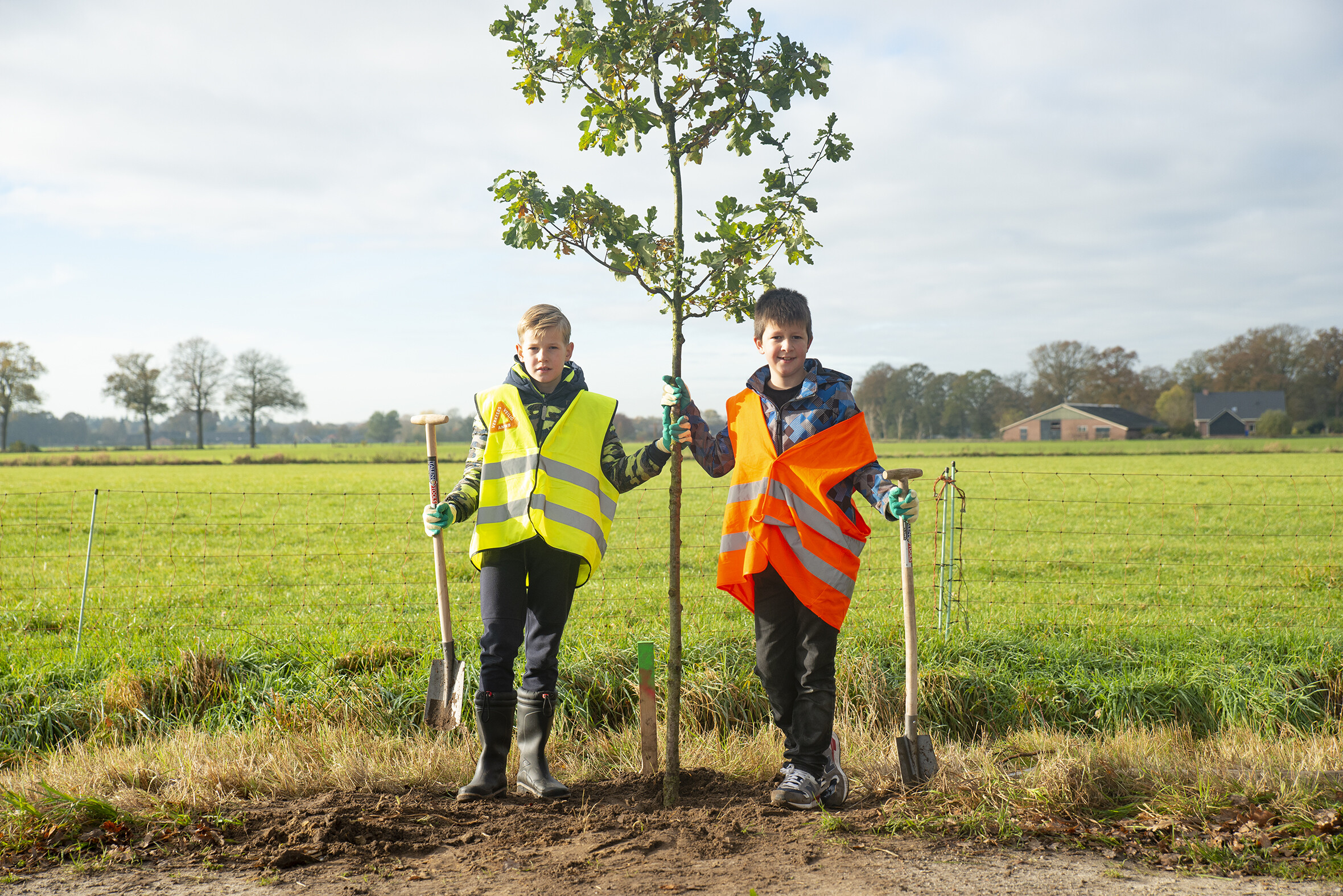kinderen planten boom