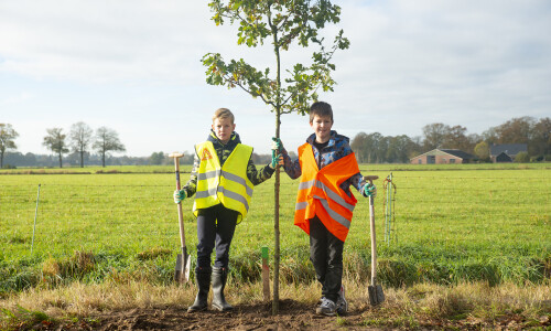 kinderen planten boom