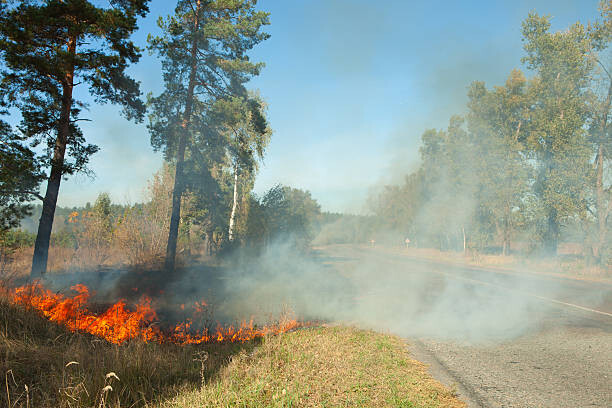 Risico natuurbrand: bermen bij natuurgebieden gemaaid