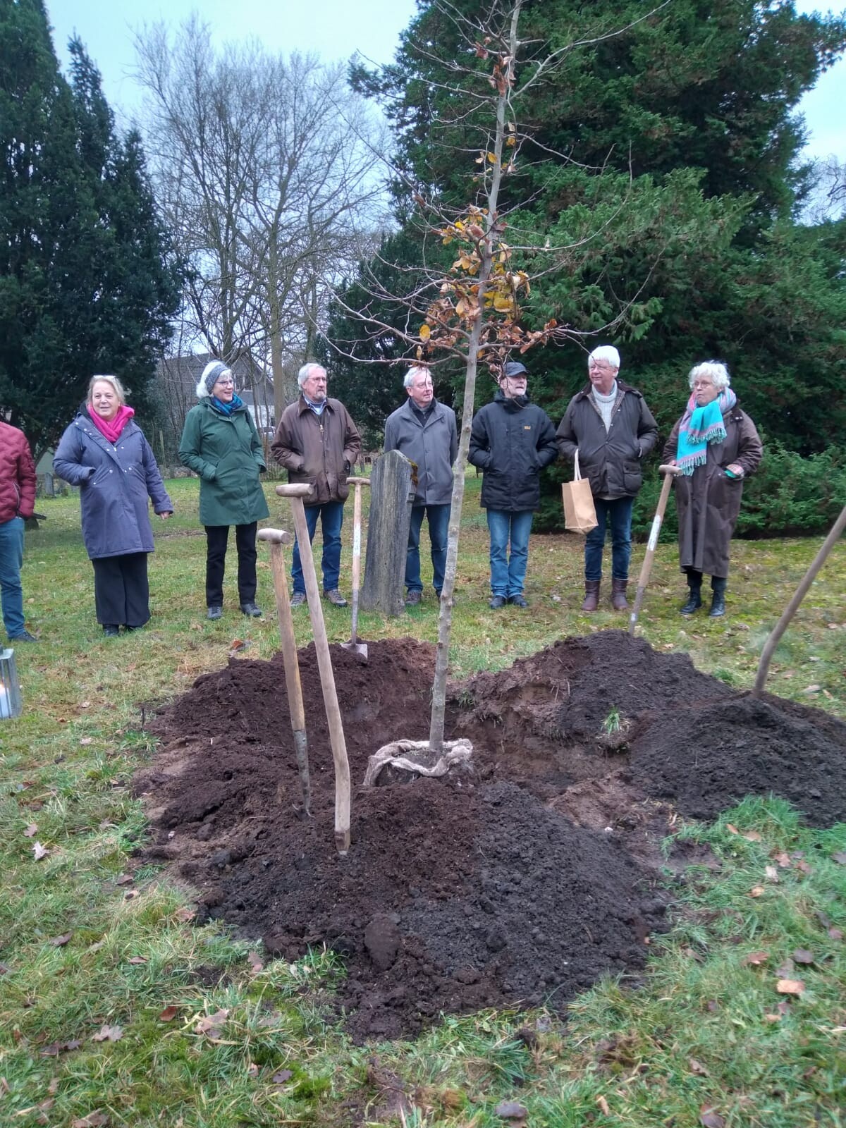 Vredesboom geplant op Oude Begraafplaats in Lochem